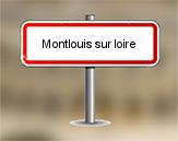 Diagnostic immobilier devis en ligne Montlouis sur Loire