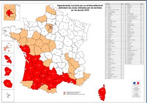 Carte infestation termites INDRE ET LOIRE